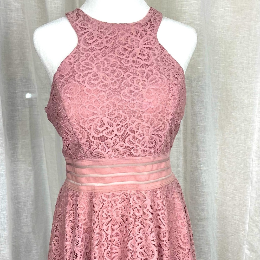 Adorable Blush Lace Dress to the knee
